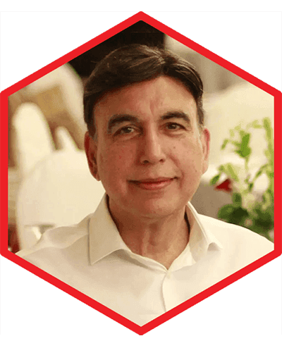 Prof. Nusrat Husain